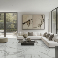 //rprorwxhrpkoli5q.ldycdn.com/cloud/libpmkjolpsrjllmminqjm/what-alare-the-most-popular-sizes-of-statuary-porcelain-slabs.jpg