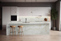 //rprorwxhrpkoli5q.ldycdn.com/cloud/lobpmkjolpsrjlpiqqjp/who-are-the-best-porcelain-countertop-manufacturers-in.jpg